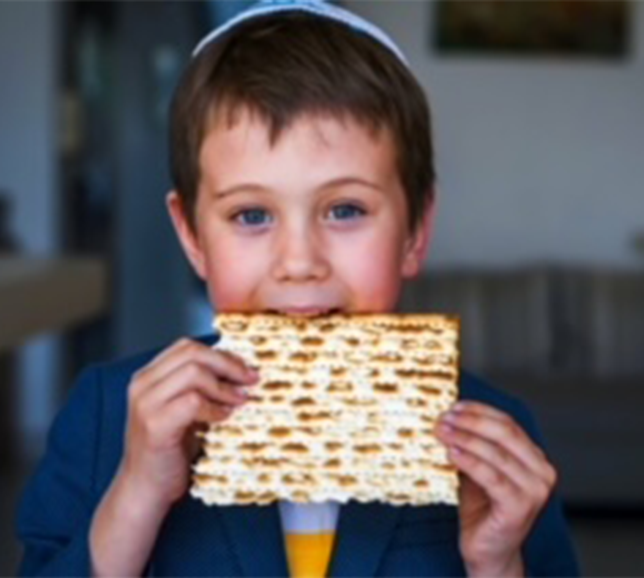 Young boy holding a piece of matzah bread.